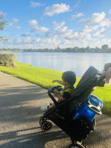 Graco Outpace Travel System photo review